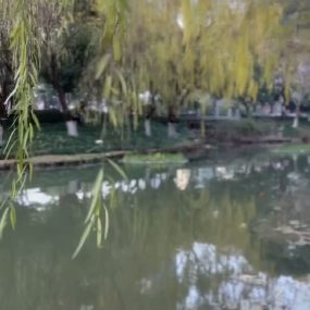 #短片 就是阿朱啊 13