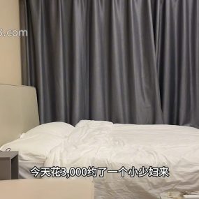 #探花 3000约的外围