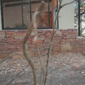 #Onlyfans #ruth_lee #Ruthy 10