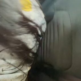 #良心不痛痛小瑜酱 9